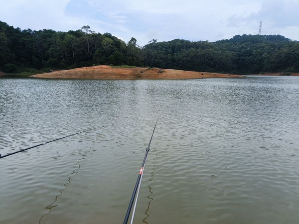 带娃去钓鱼，结果让人大跌眼镜！🎣