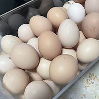 冰箱里常备鸡蛋
