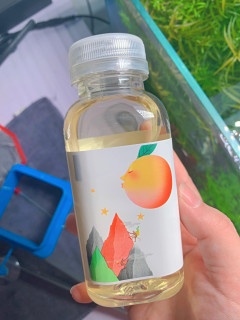 夏日时光