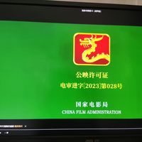 我和搭子一起看速度与激情10
