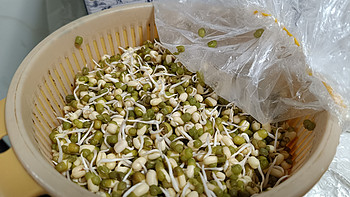 好吃的 篇一百六十三：豆芽和绿豆沙，绿豆在夏天有好多用处