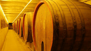 百年传承，法国工艺，探寻中华红酒酿造工艺的奥秘