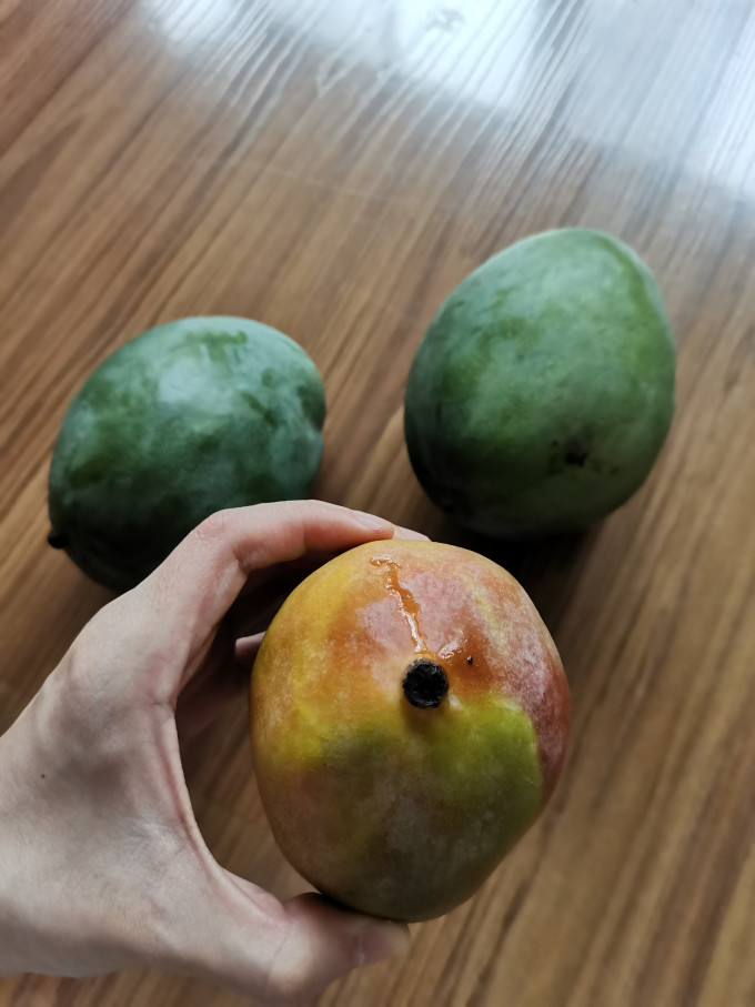 十记庄园芒果