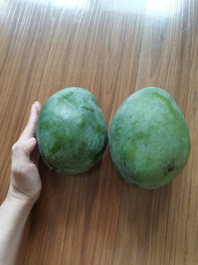 十记庄园芒果