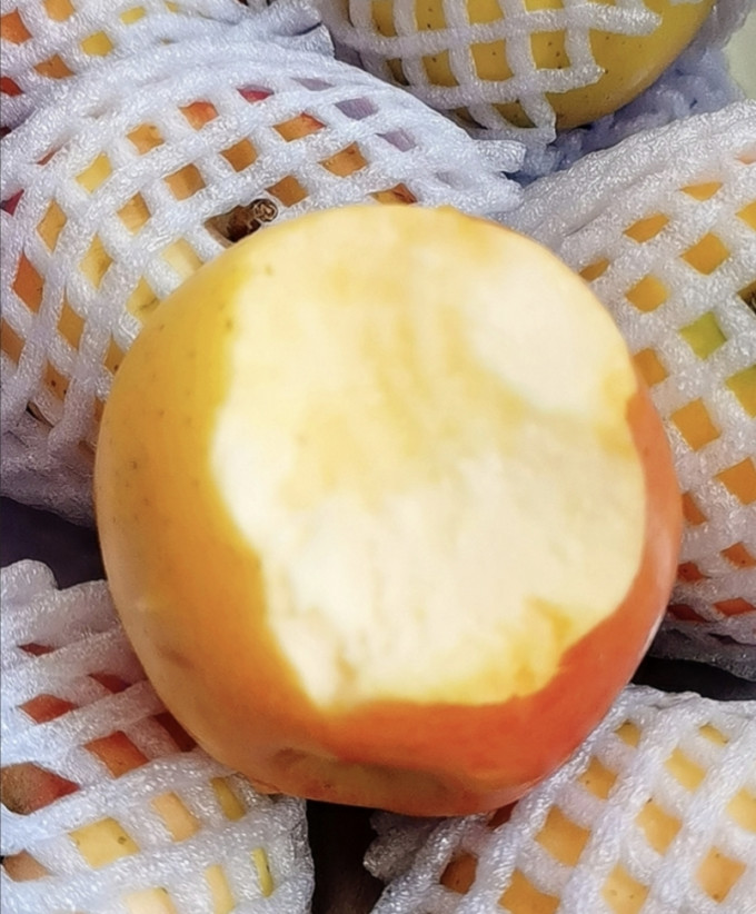 苹果红了苹果