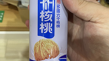 好饮料就选六个核桃核桃露