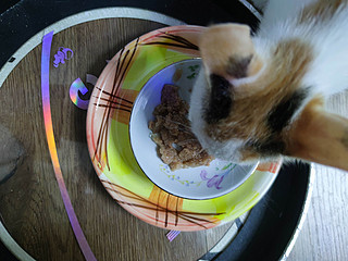 猫猫喜欢吃的慕斯罐头…