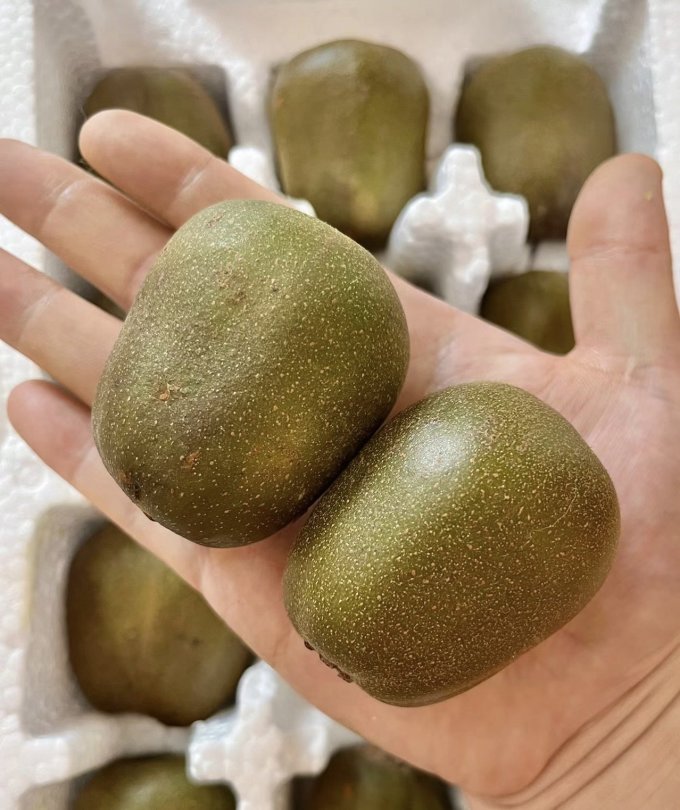 探味君新鲜水果