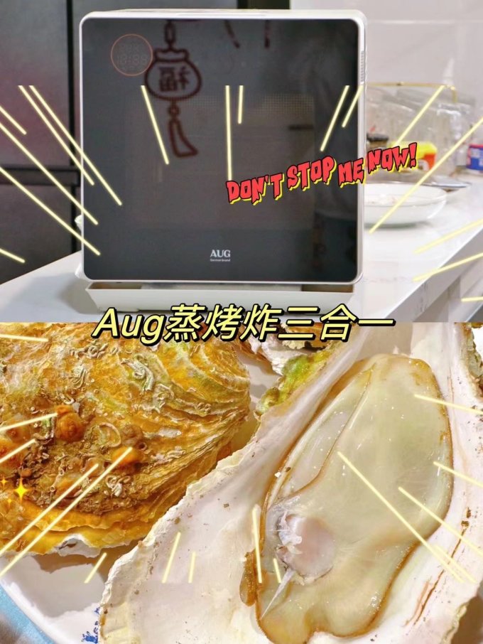 奥格电烤箱