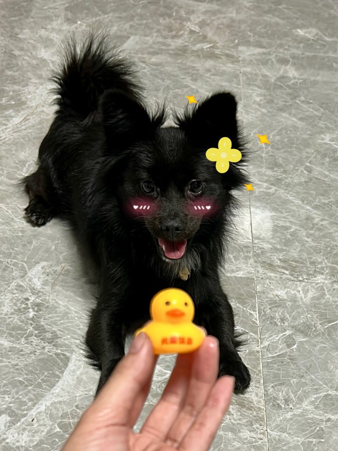 多乐健身玩具