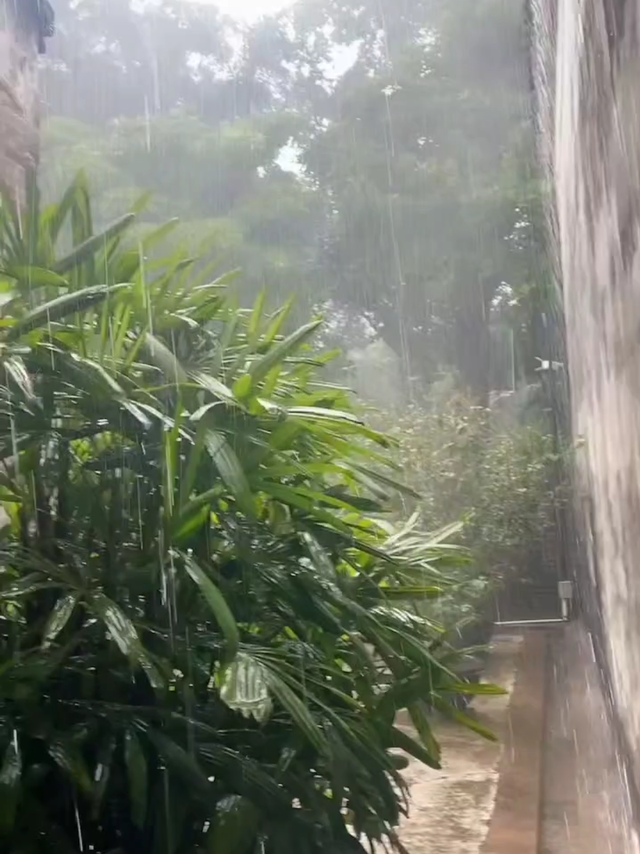 下雨天还来旅游的一定是真爱