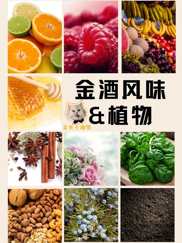 植物的魔力，让金酒更加迷人！