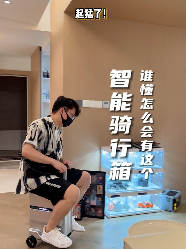 显眼包的行李箱