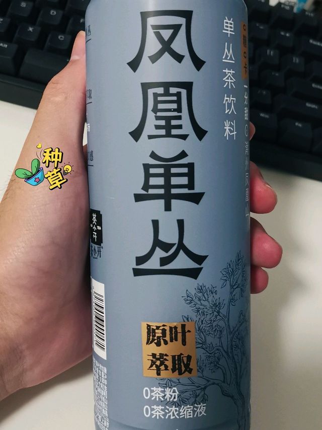 口感甘醇，原叶萃取的凤凰单丛茶饮