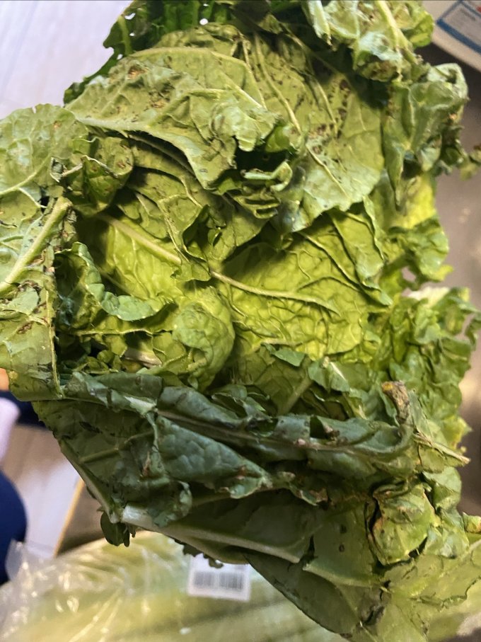 小汤山蔬菜
