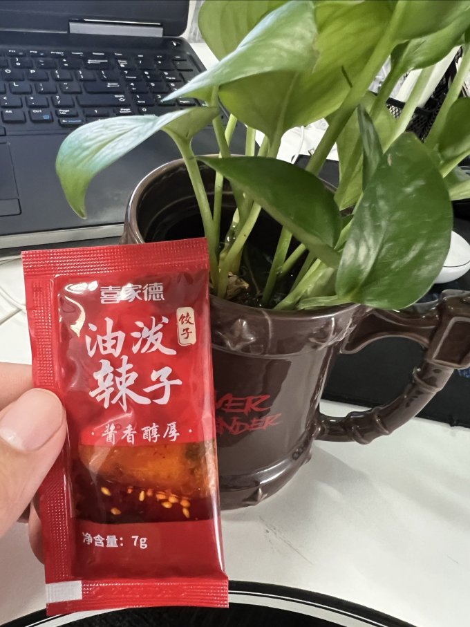 泰西丝盆栽