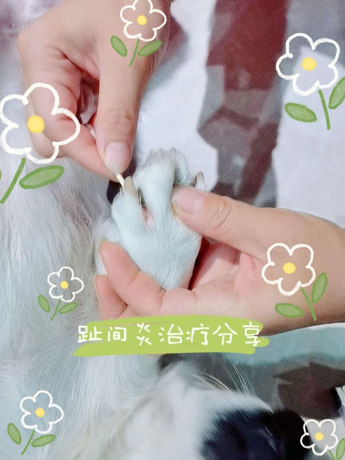 日用清洁