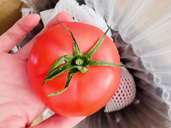 🍅好吃的番茄