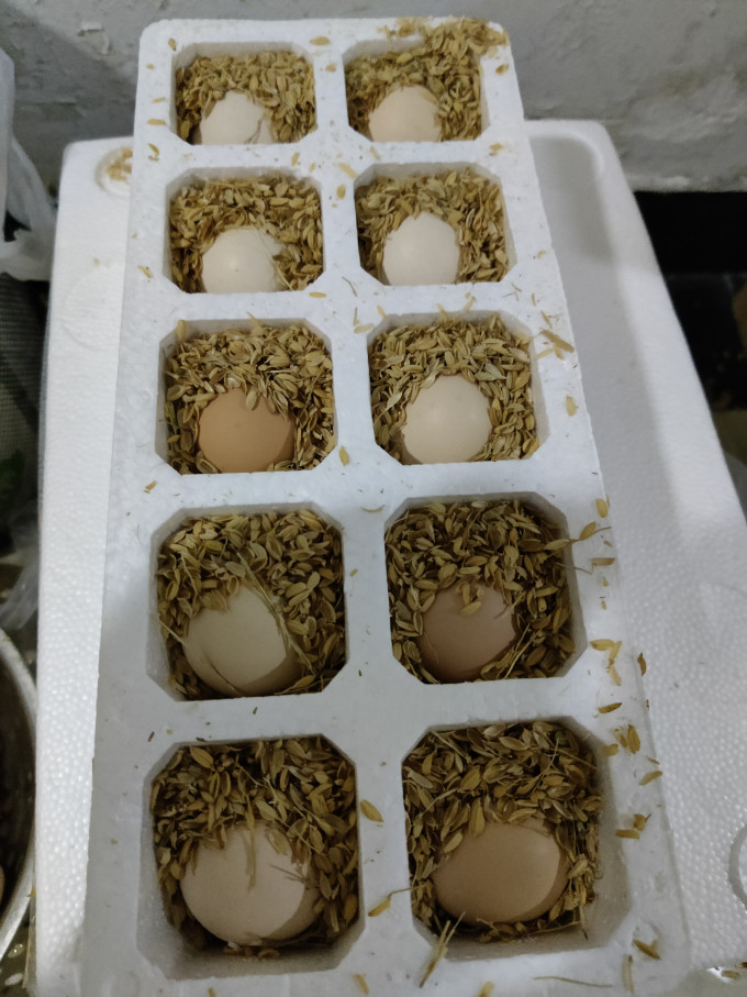 惠寻蛋类
