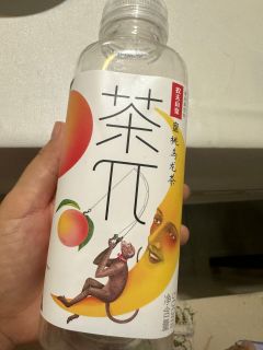 搭子饮料茶派