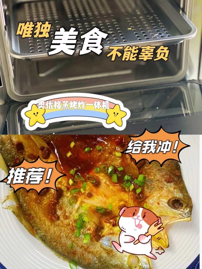 奥格电烤箱