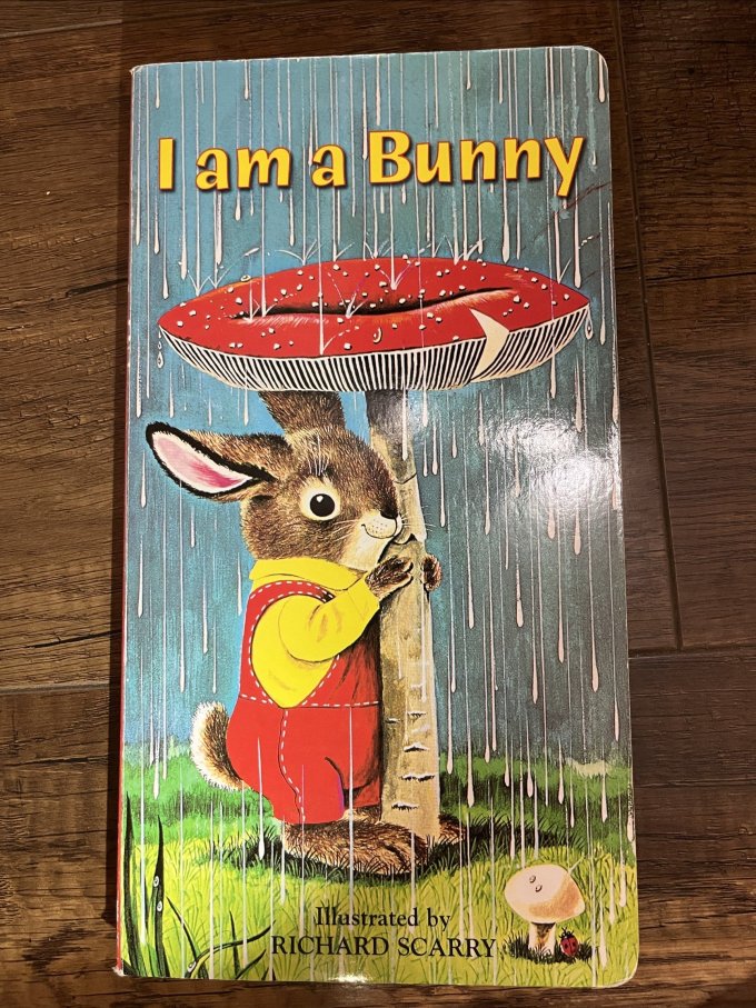 Golden Books进口童书