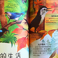 《DK多姿多彩的鸟类百科》关于寻常的鸟类，原来也各自精彩