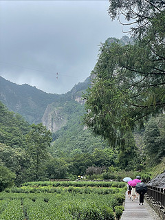 旅游｜雁荡山到底值不值得一日游？