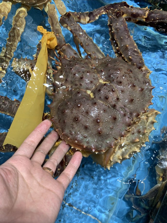 渔传播蟹类