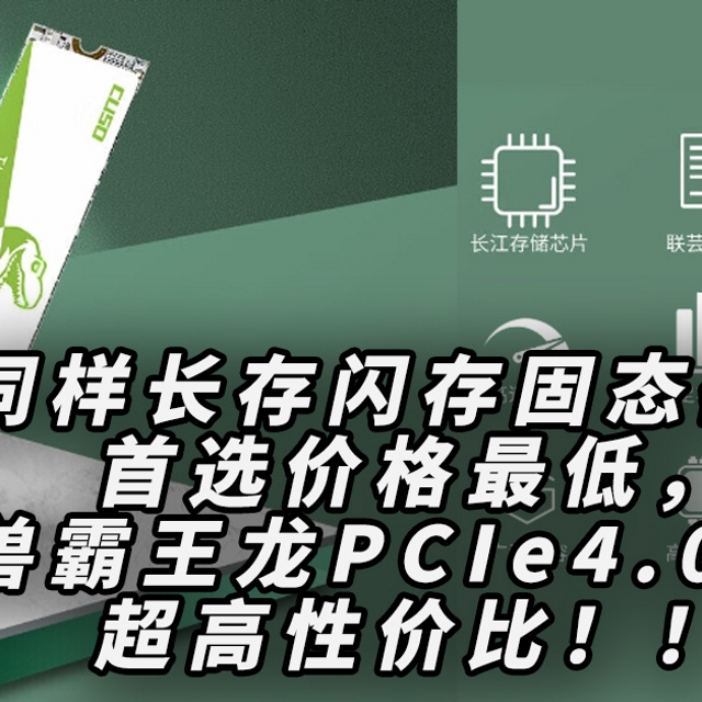 同样长存闪存固态硬盘首选价格最低，酷兽霸王龙PCIe4.0 SSD超高性价比！