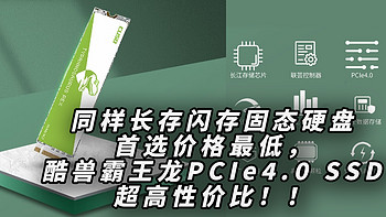 同样长存闪存固态硬盘首选价格最低，酷兽霸王龙PCIe4.0 SSD超高性价比！