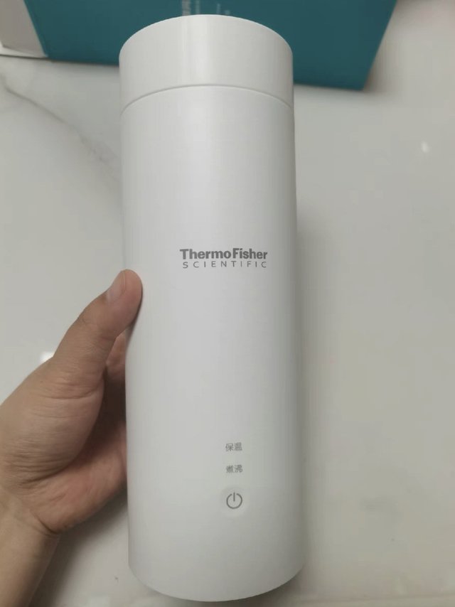 酒店烧水壶不卫生？买这个电热保温杯很必要
