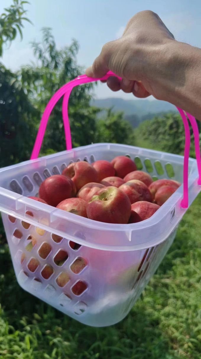 鹏翔宇新鲜水果