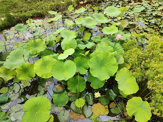 油画丙烯