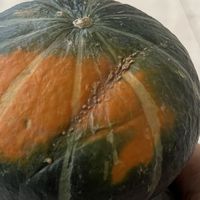 淘宝农场真好——既适合打发时间,又能领到菜品
