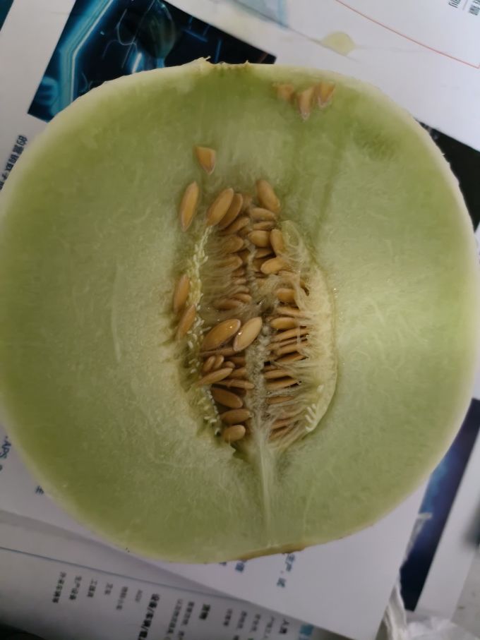 鲜馥其他水果