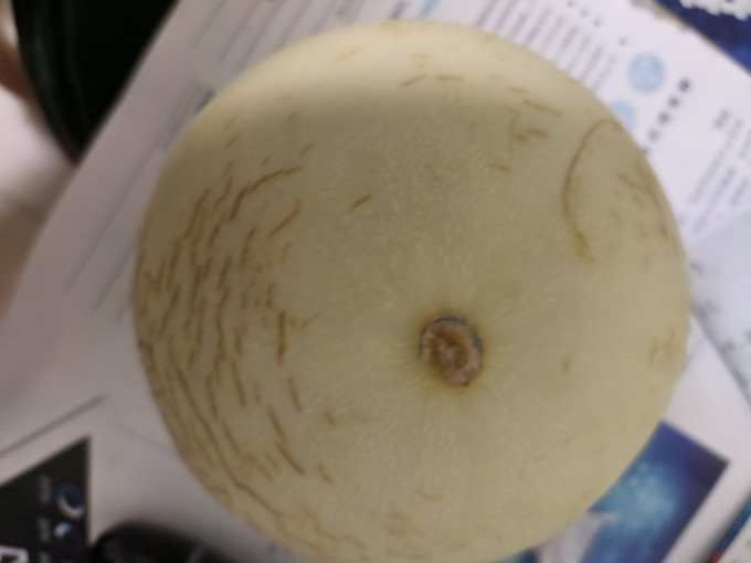 鲜馥其他水果