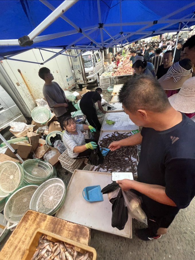 渔公码头虾类