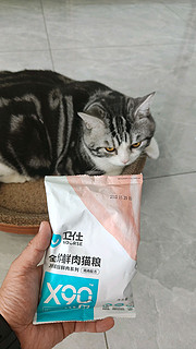 值友们，一分钱的猫粮你们买了没