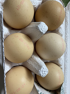 盒马日日鲜鸡蛋