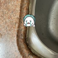 千万不要装这种巨坑的厨房水槽