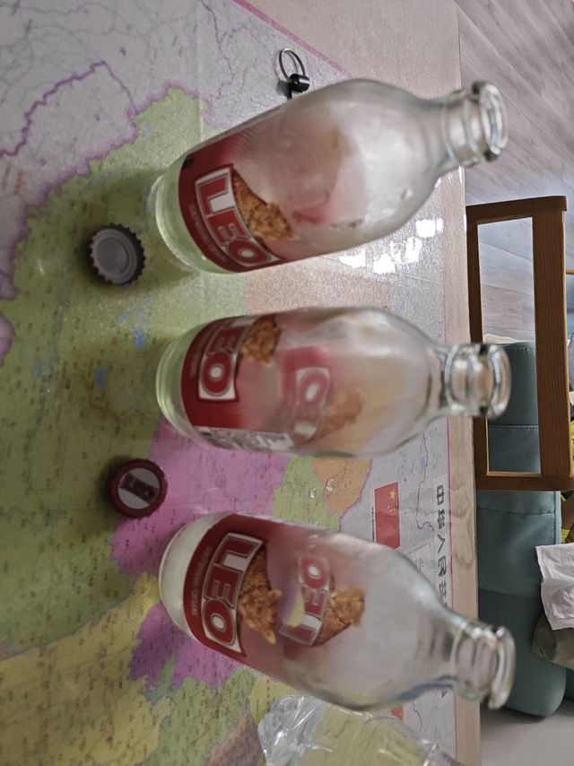 Leo气泡水好喝的二氧化碳水
