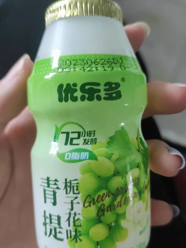 夏日食光之乳酸菌来了