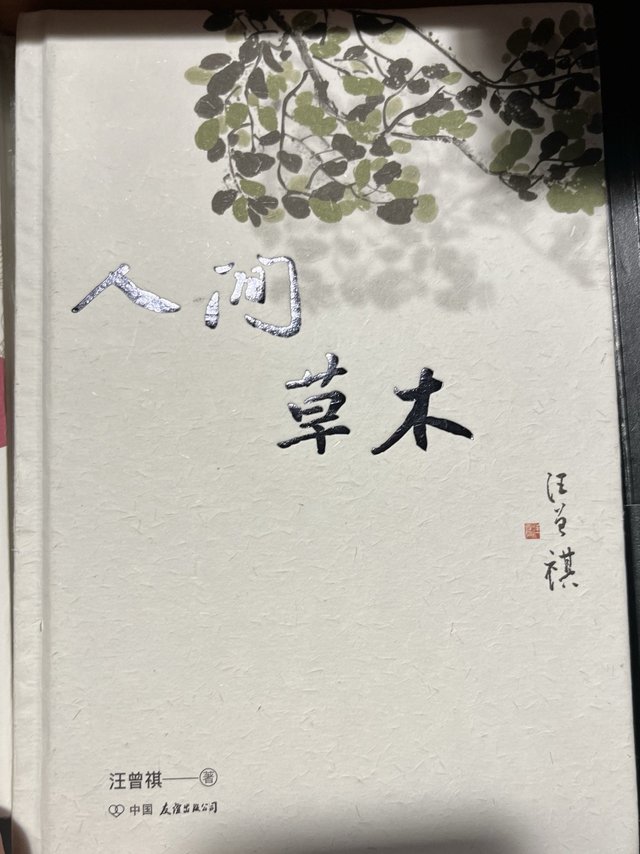 用花香虫鸣温暖世俗人心《人间草木》