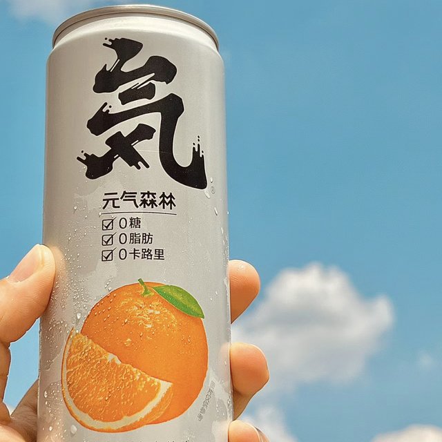 夏天的冰汽水最好喝呀