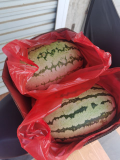夏日食光，宁夏硒砂瓜
