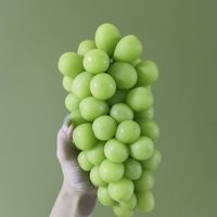 夏日食光是冰镇玫瑰香青提