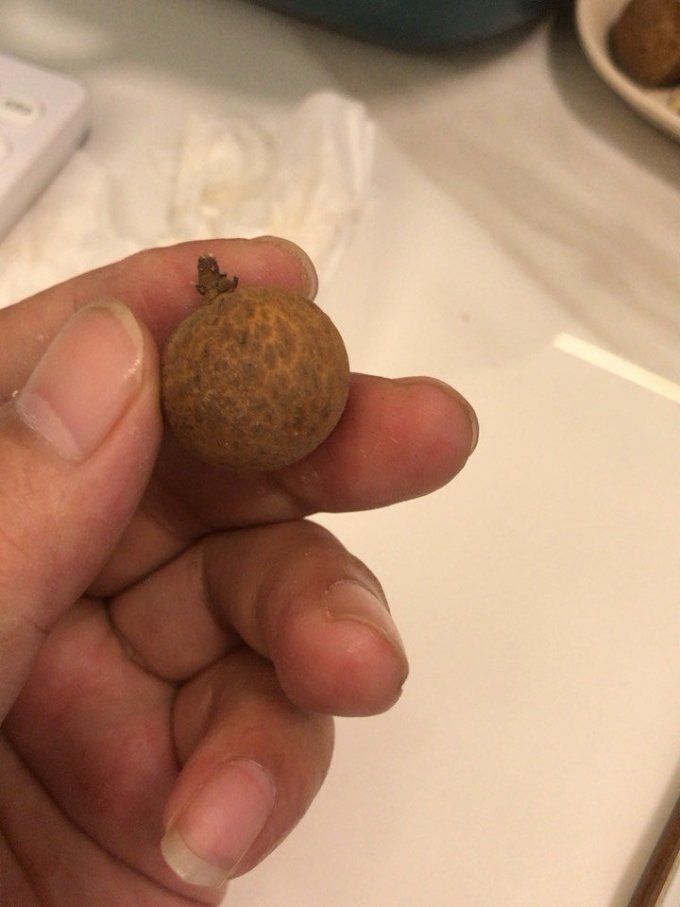 鲜指南其他水果