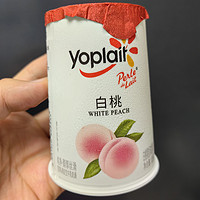 宝藏乳品｜不知名品牌酸奶