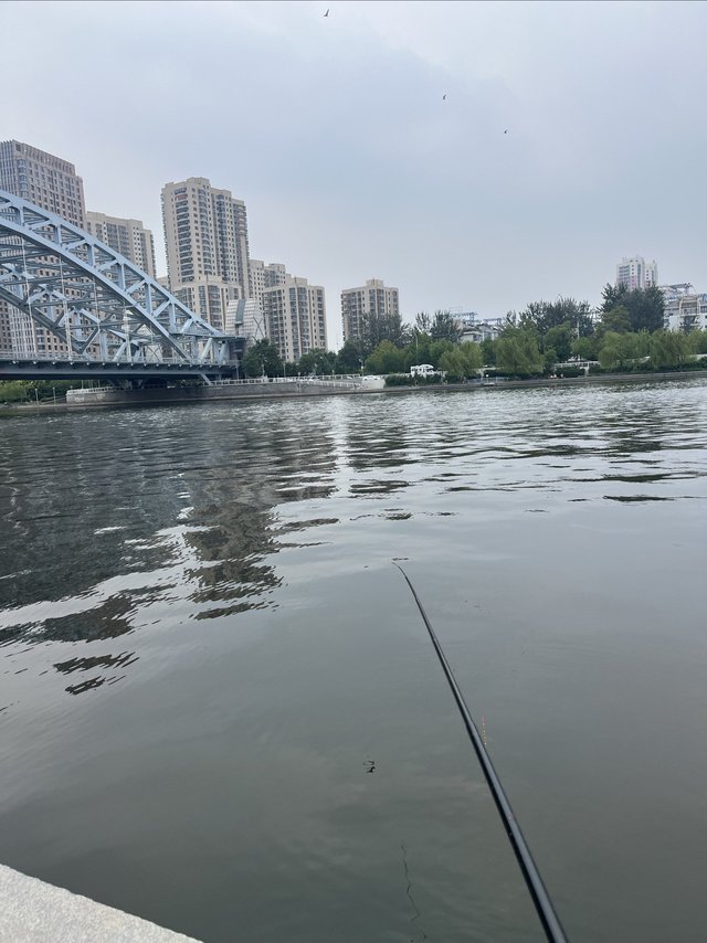 十块钱买个鱼竿